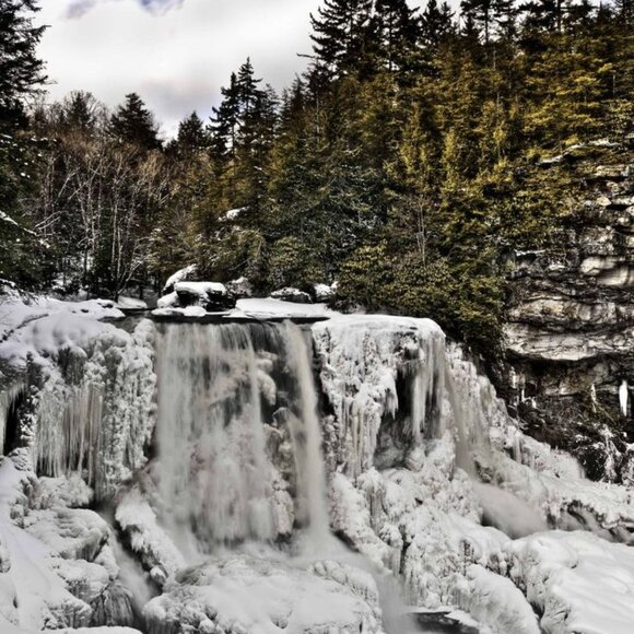 DIABLED POSHER: JG - Picture 5 of 7